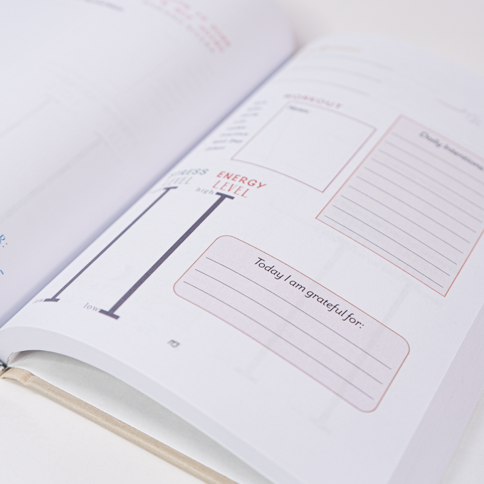 Celebrate Sm(all) Wins Journal