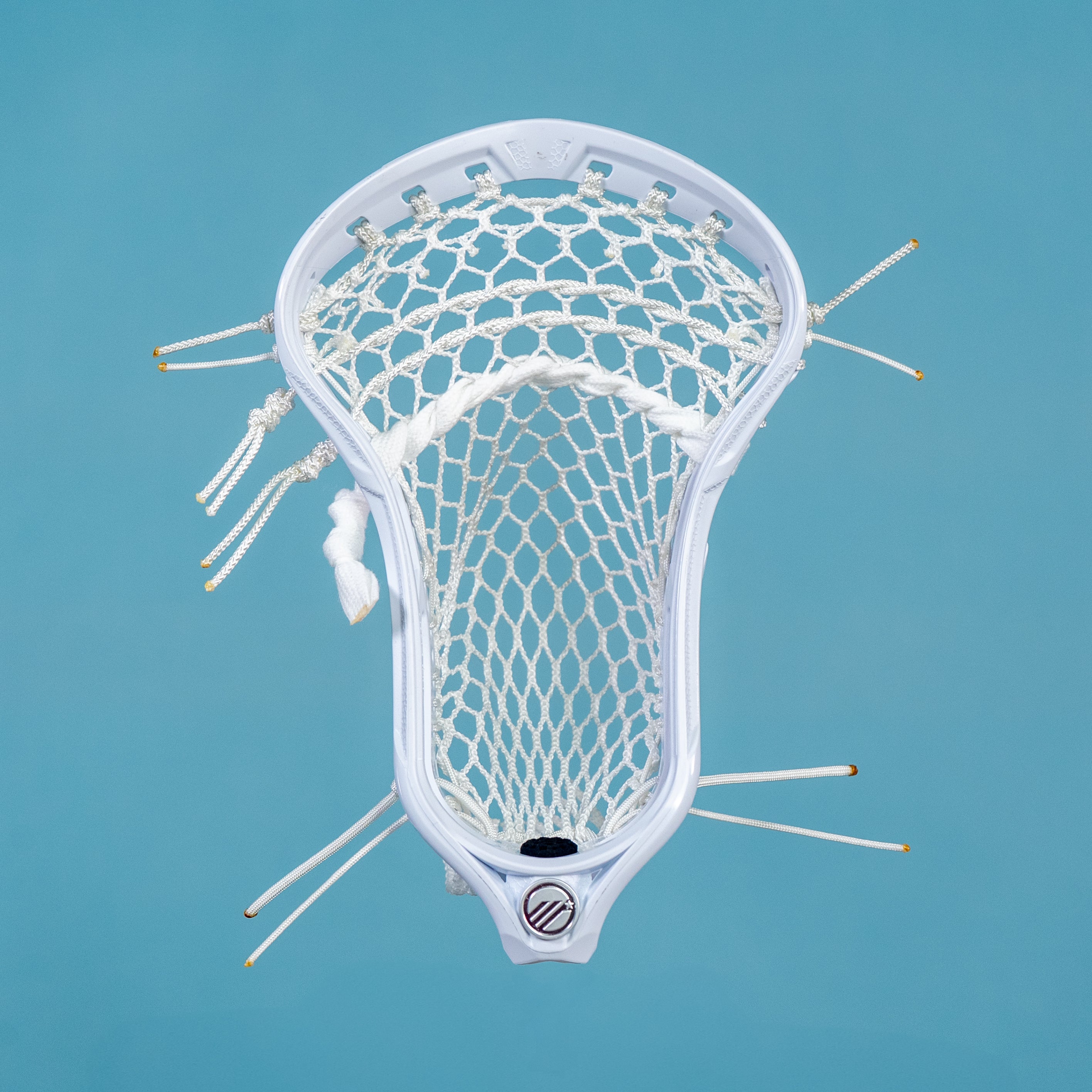 Fully Customizable Head