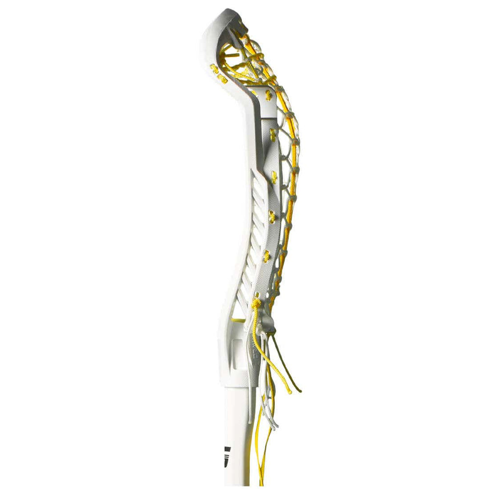 gait draw complete- Bone