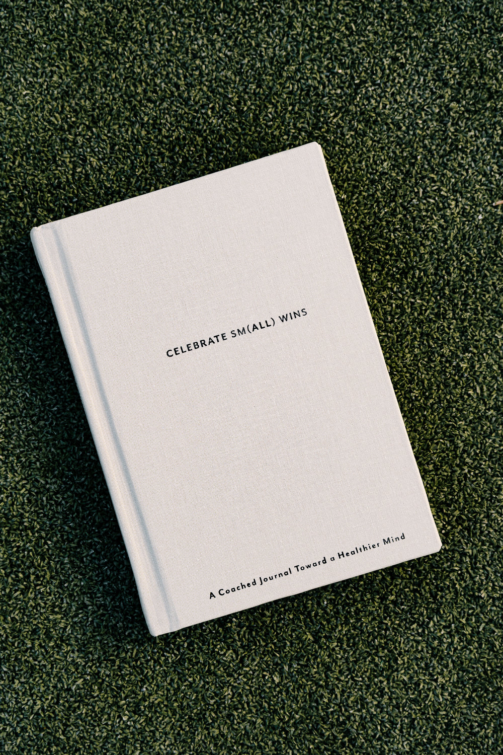 Celebrate Sm(all) Wins Journal