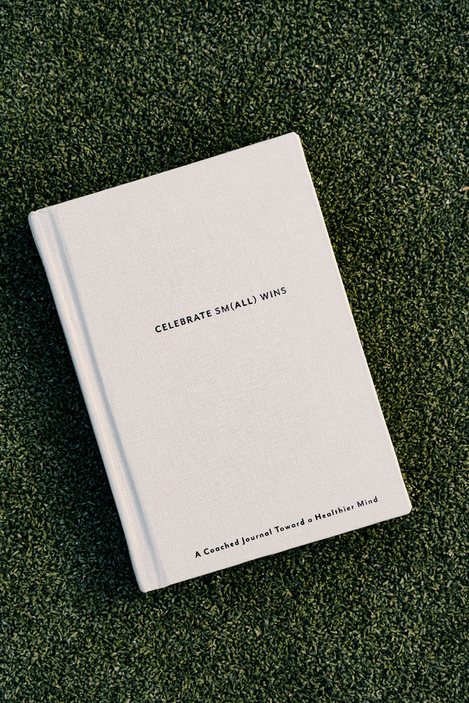 Celebrate Sm(all) Wins Journal