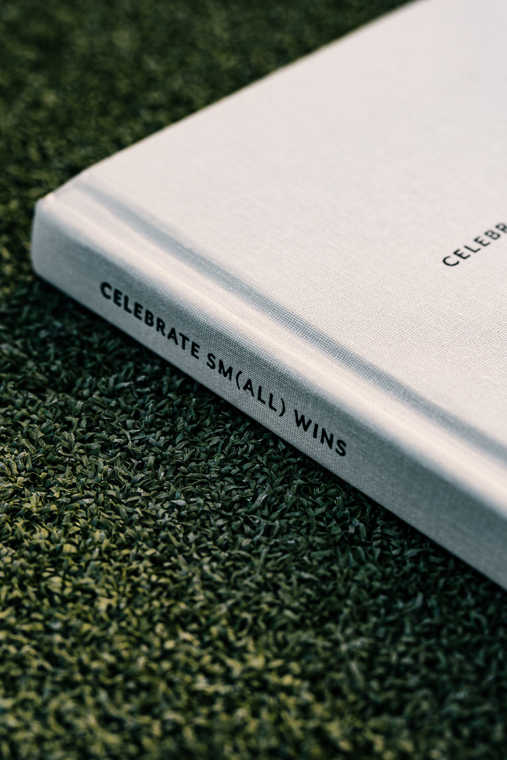 Celebrate Sm(all) Wins Journal