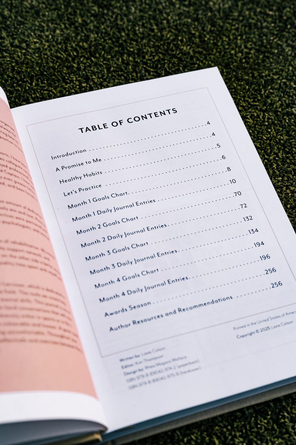 Celebrate Sm(all) Wins Journal