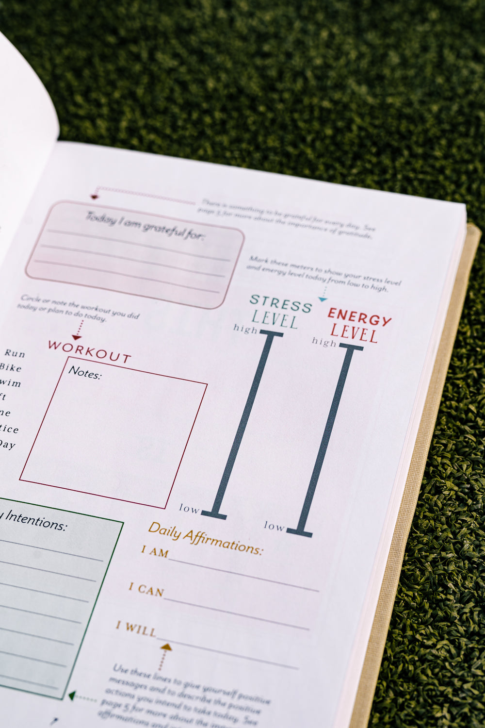 Celebrate Sm(all) Wins Journal