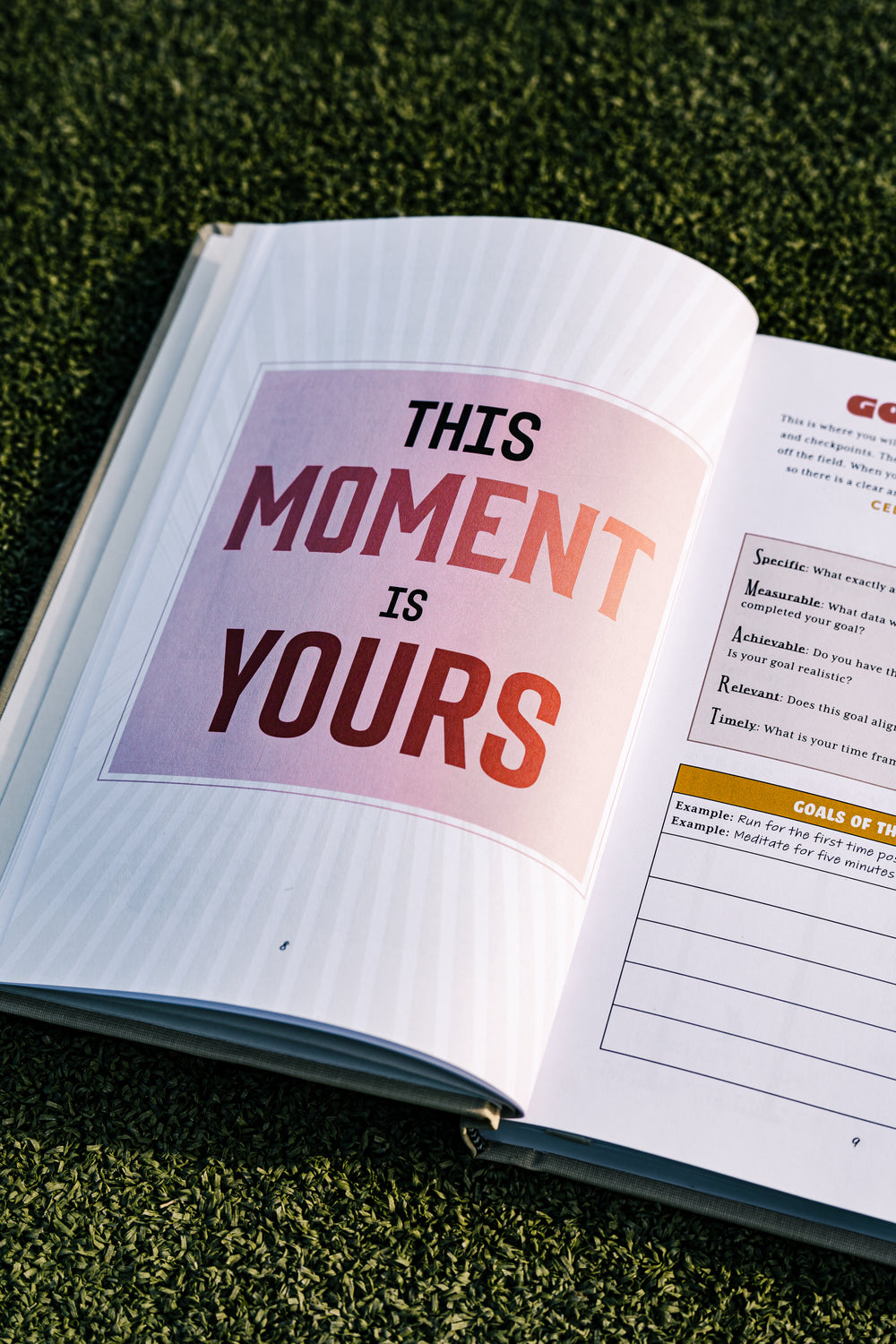 Celebrate Sm(all) Wins Journal