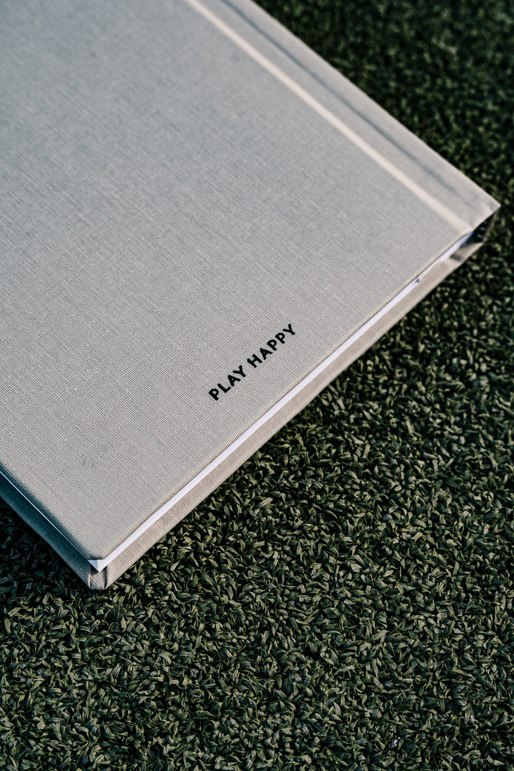 Celebrate Sm(all) Wins Journal