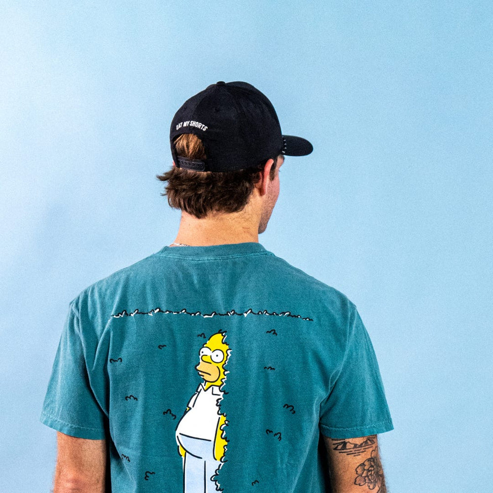 Simpsons Lacrosse Springfield Hat