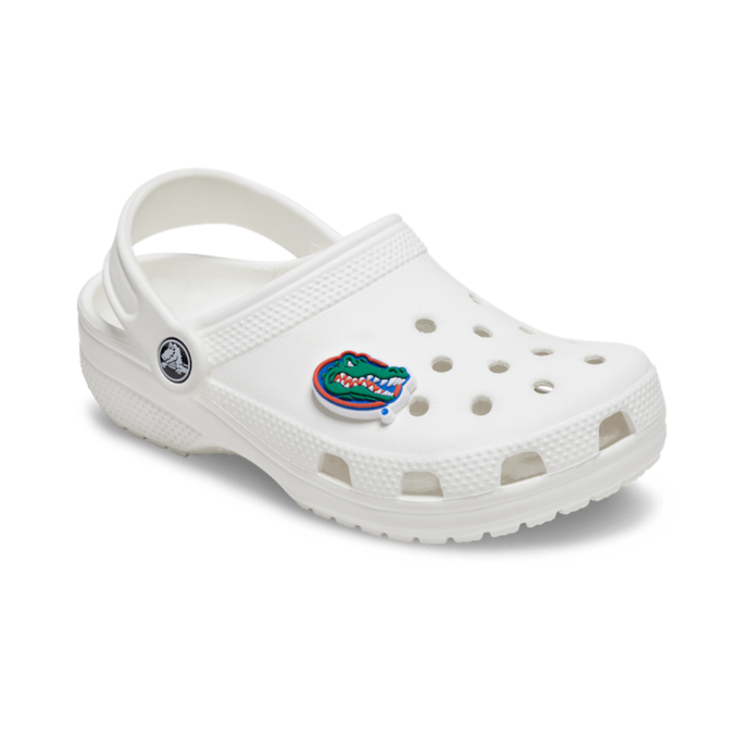 Florida Croc Jibbitz