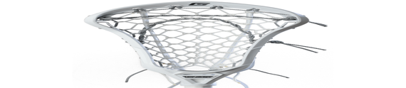 Gait Whip with Flex Pocket - Main