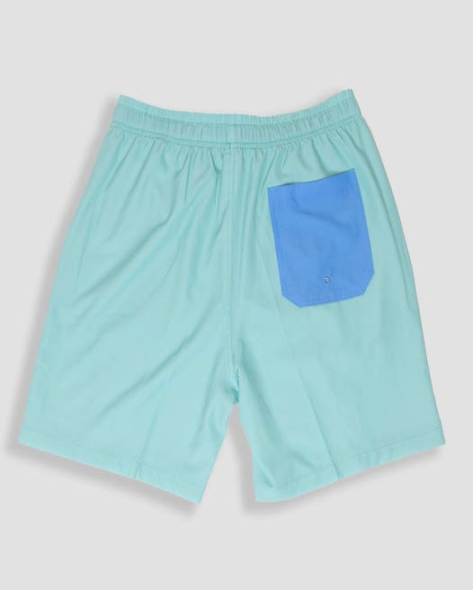 Mint Breeze Swim Dodge Shorts