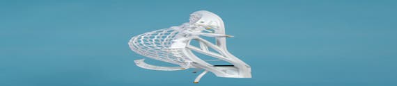 Sidewall Jedi Warrior Evo QX-O